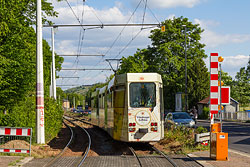 Gleisbauarbeiten in der Mergentheimer Straße zwischen Dallenbergbad und Steinbachtal