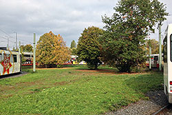 6 GTE-Züge stehen im Wendekreis am Dallenbergbad, um die zu erwartende Menge an Fußballfans zu bewältigen. 17.10.2015 – André Werske