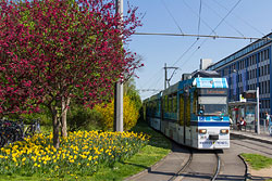 GT-E 203 am Hauptbahnhof. 18.04.2018 – André Werske