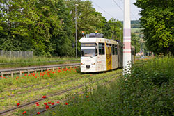 GT-E 210 in der Mergentheimer Straße. 12.06.2021 – André Werske