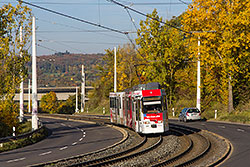 GT-E 206 am oberen Abschnitt der Steilstrecke zwischen Heidingsfeld und Heuchelhof. 19.10.2013 – André Werske