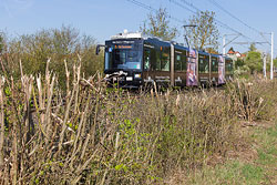 GT-N 258 zwischen Max-Mengeringhausen-Straße und Madrider Ring am Heuchelhof. 18.04.2018 – André Werske