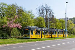 GT-N 264 zwischen den Haltestellen Wörthstraße und Neunerplatz in der Zellerau. 18.04.2018 – André Werske