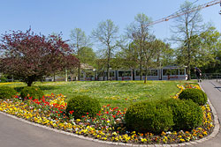 GT-N 265 an der Haltestelle Neunerplatz in der Zellerau. 18.04.2018 – André Werske