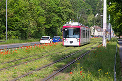 GT-N 250 in der Mergentheimer Straße. 12.06.2021 – André Werske