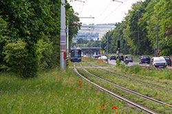 GT-N 251 in der Mergentheimer Straße. 12.06.2021 – André Werske