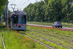 GT-N 265 in der Mergentheimer Straße. 12.06.2021 – André Werske