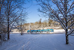 GTN 251 an der oberen Sektion der Steilstrecke Heidingsfeld – Heuchelhof. 28.12.2014 – André Werske