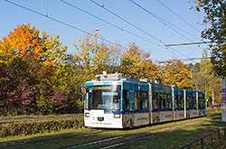 GT-N zwischen Steinbachtal und Dallenbergbad im Herbst.