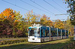 GT-N zwischen Steinbachtal und Dallenbergbad im Herbst. 11.10.2012 – André Werske