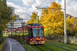 GT-N 254 bei der Einfahrt in die Haltestelle "Neunerplatz". 18.10.2013 – André Werske