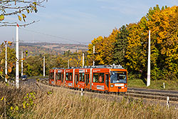 GT-N 263 am oberen Abschnitt der Steilstrecke zwischen Heidingsfeld und Heuchelhof.