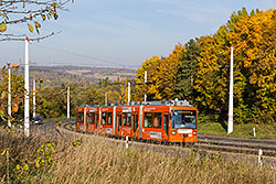 GT-N 263 am oberen Abschnitt der Steilstrecke zwischen Heidingsfeld und Heuchelhof. 19.10.2013 – André Werske