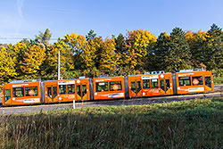 GT-N 263 am oberen Abschnitt der Steilstrecke zwischen Heidingsfeld und Heuchelhof. 19.10.2013 – André Werske