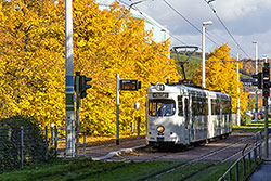 GTW-D8 Nummer 246 an der Haltestelle "Neunerplatz". 18.10.2013 – André Werske